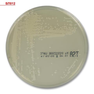 Агар триптиказо-соевый готовый, в чашке Петри 10 шт