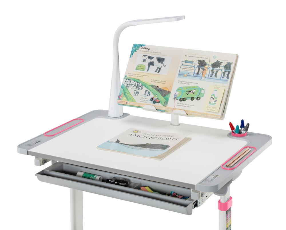 Комплект растущей детской мебели Fundesk Littonia парта + стул + выдвижной ящик + подставка + лампа