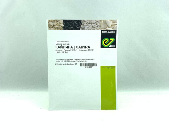 КАЙПИРА семена салата (Enza Zaden | Alexagro) – фото 3