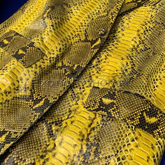 Пиджак из кожи питона JT-82