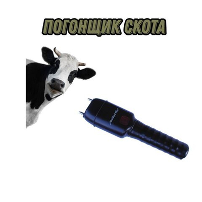 Погонщик скота