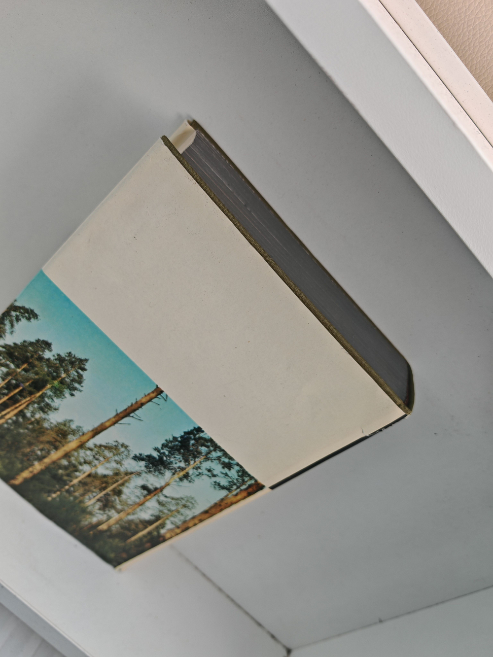 Русский лес