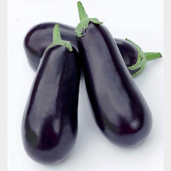 Баклажан Рома F1 7шт Мировые Семена VITA GREEN