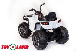 Детский электроквадроцикл Toyland Grizzly Next 4x4 белый