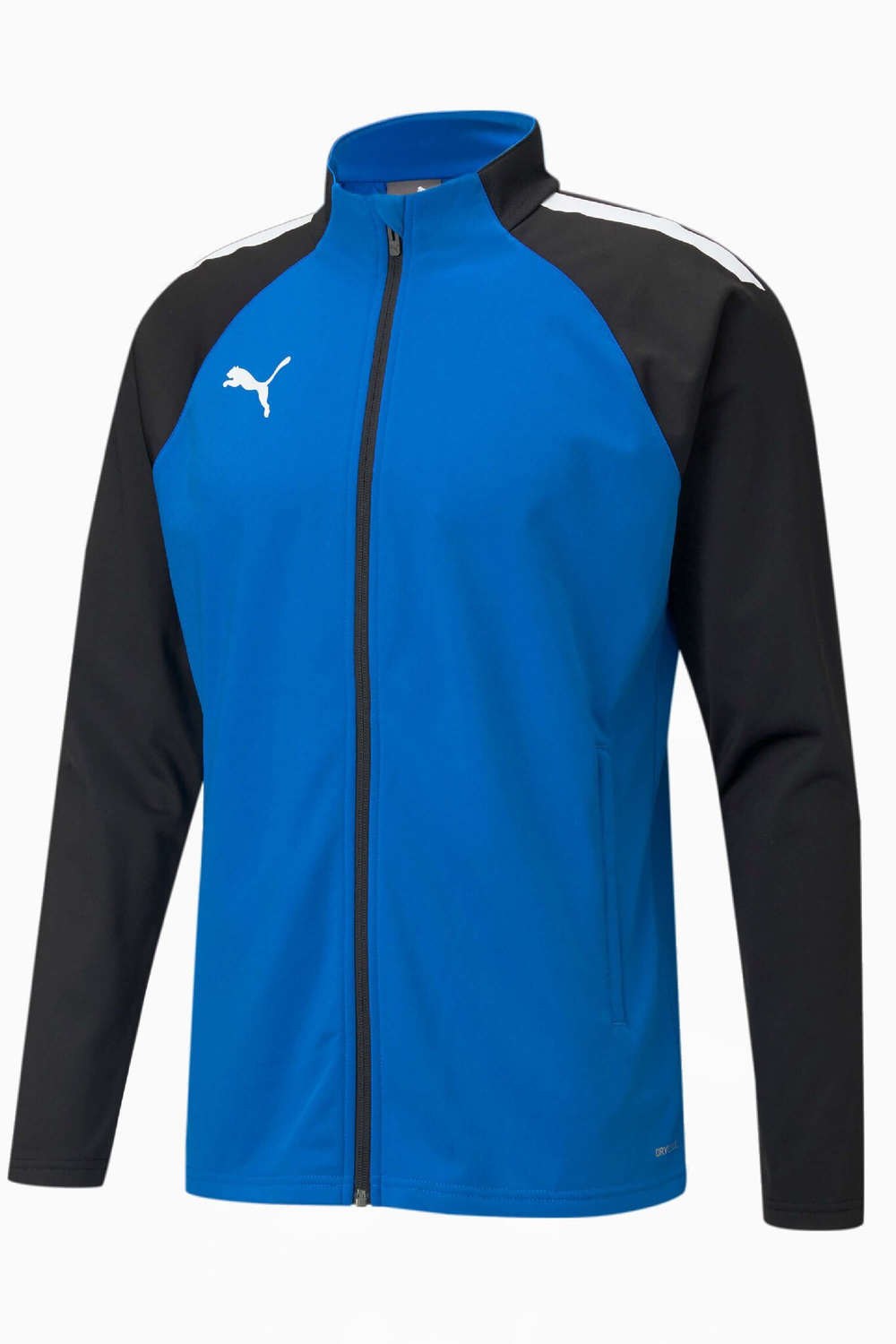 Кофта Puma teamLIGA Training