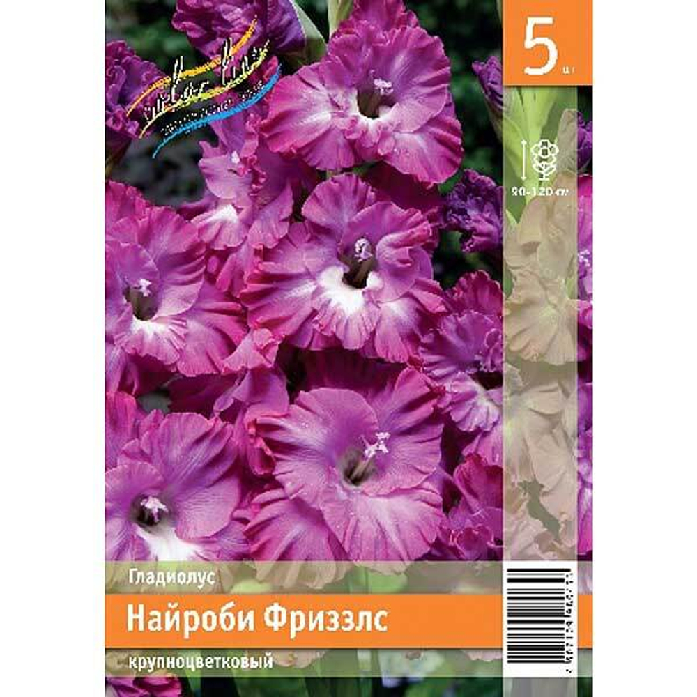 Гладиолус Найроби Фриззлс
