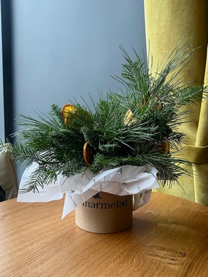 Композиция из хвои с апельсинами