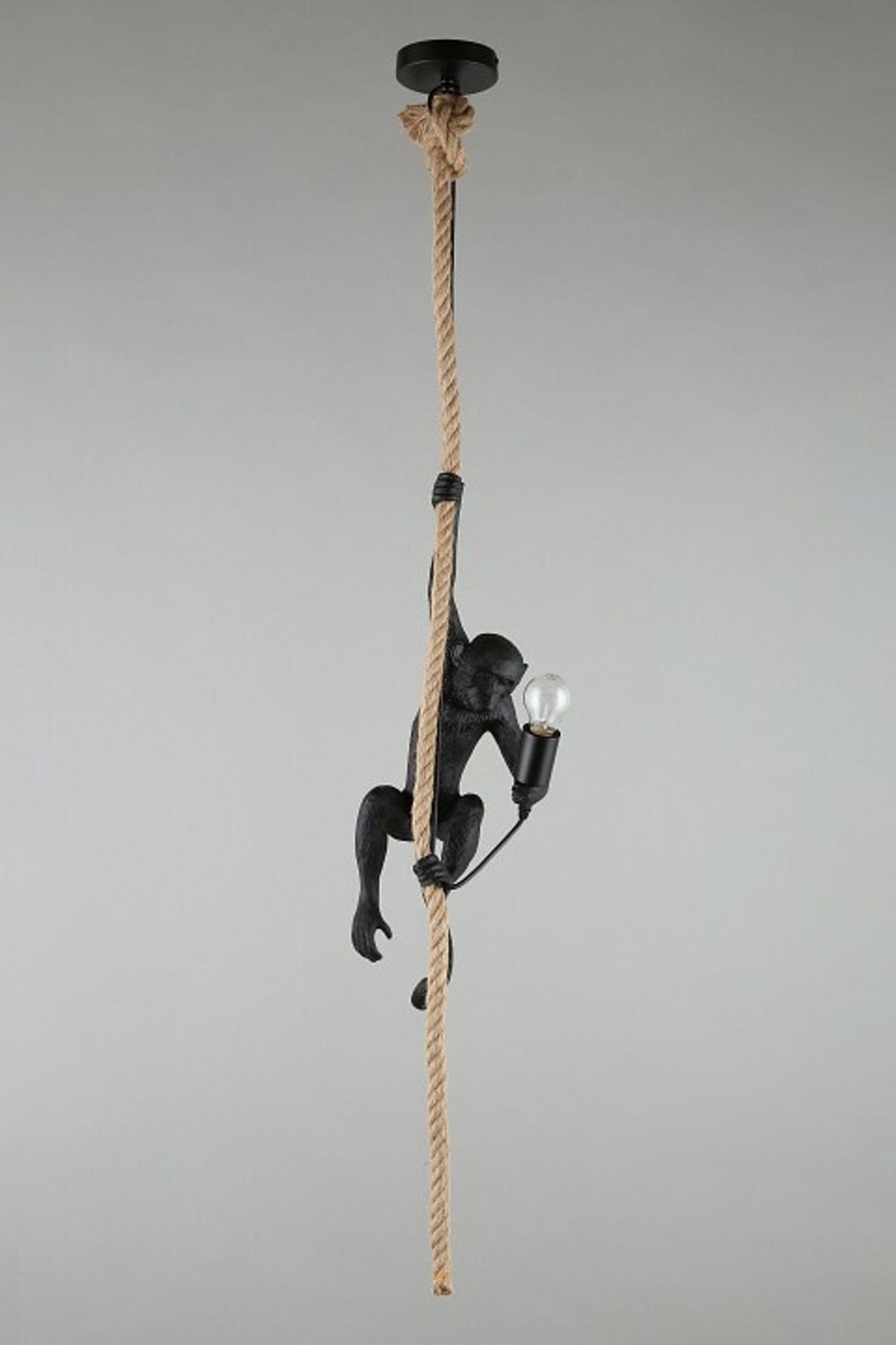 Подвесной светильник Aployt Magali APL.309.16.01