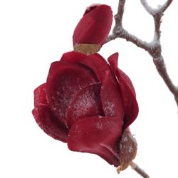 GAEM Цветок искусственный "Снежная магнолия", L28 W11 H90 см