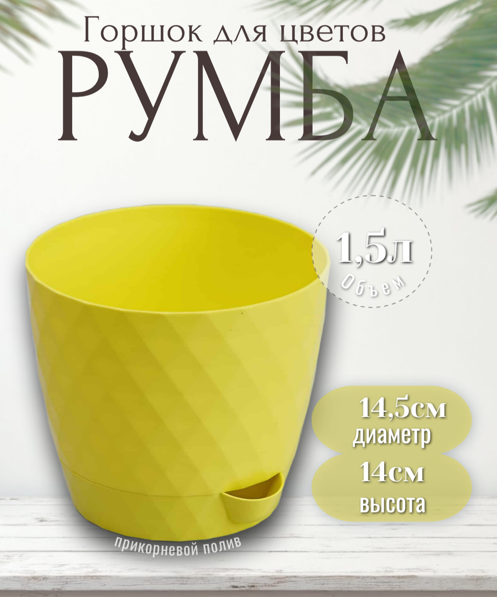 румба1,5