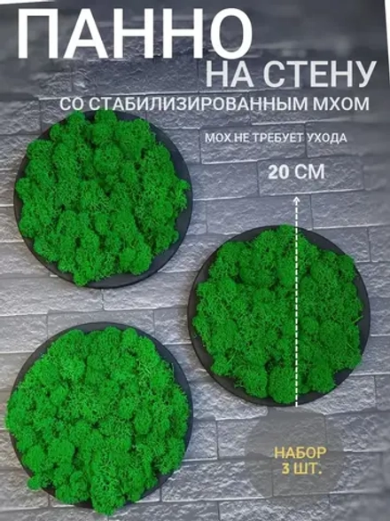 Круглое панно на стену из мха набор 3 шт.