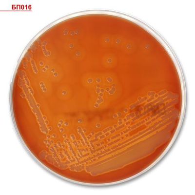 Колумбийский агар с ДК, готовый, в чашке Петри 10 шт