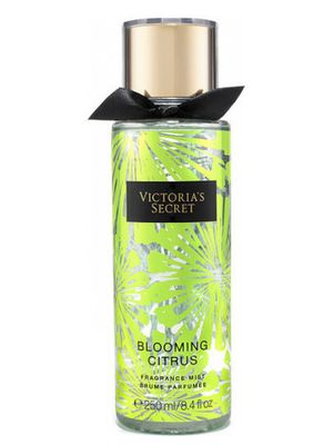 Victoria's Secret Blooming Citrus