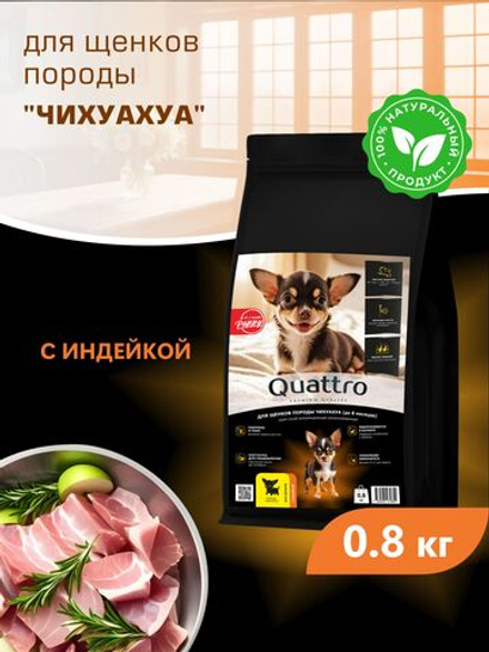 Корм сухой для щенков породы Чихуахуа, с индейкой, 800 гр, QUATTRO