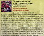 Годеция Клумбовая, смесь 0,05 г СМЦ-693