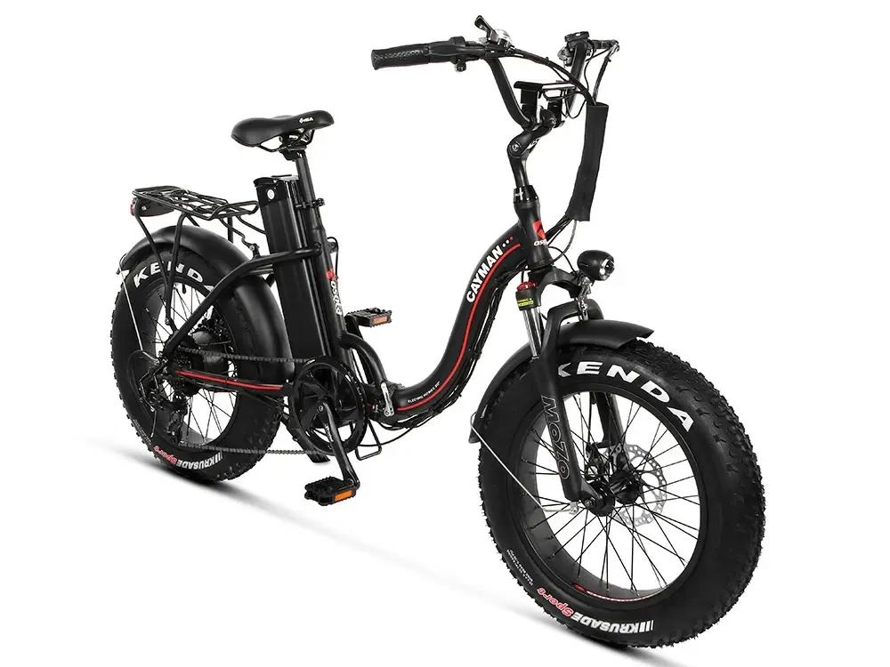 Электро фэтбайк складной Медведь Fold 350х350
