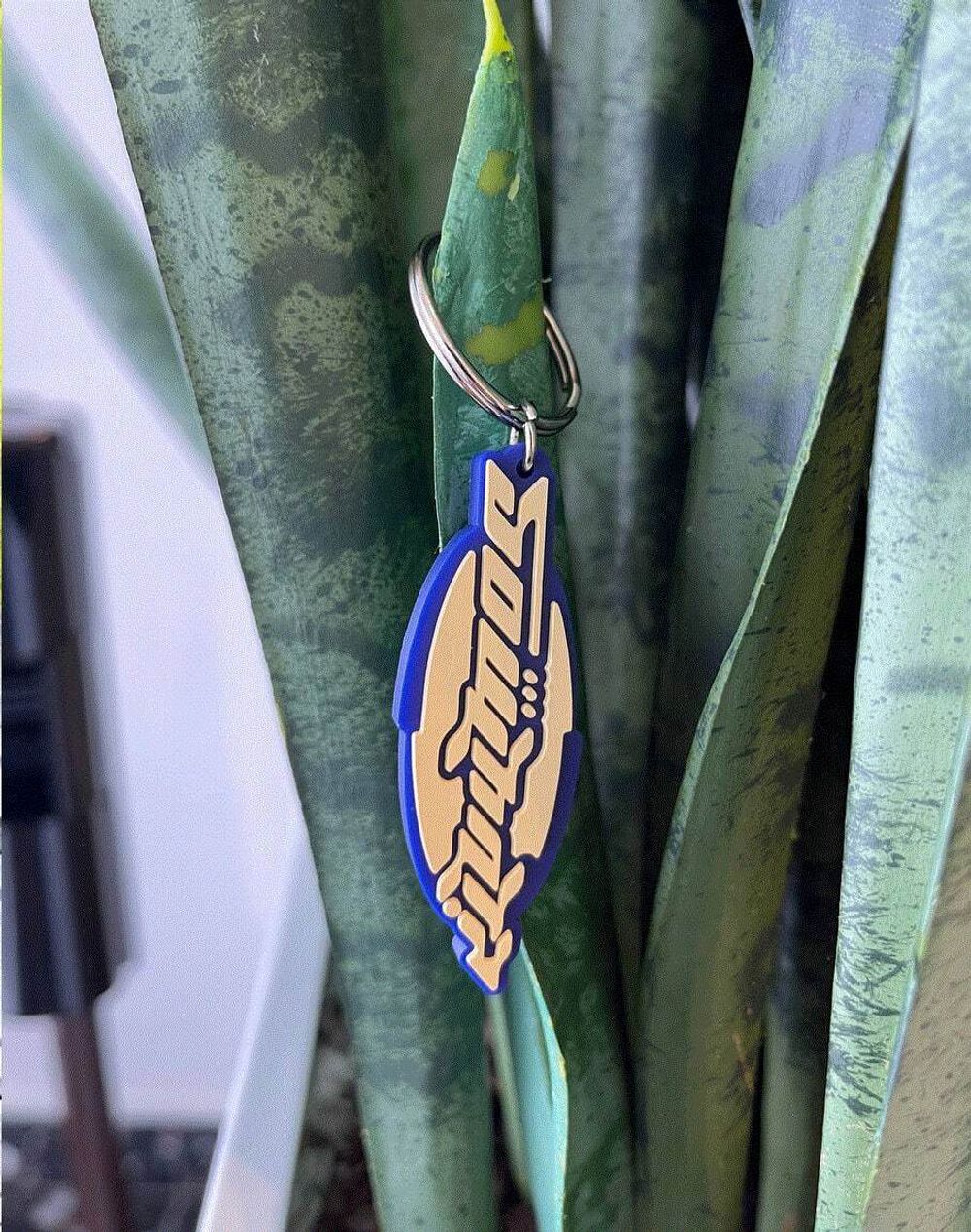 Брелок SoWhat?