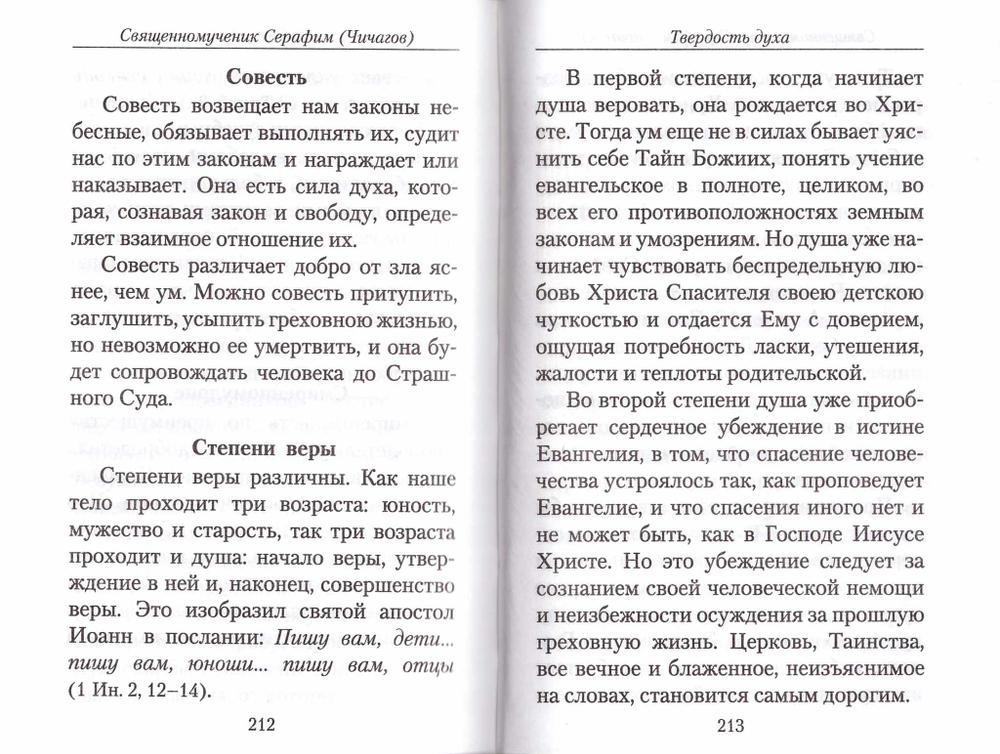 Твердость духа. Священномученик Серафим (Чичагов)