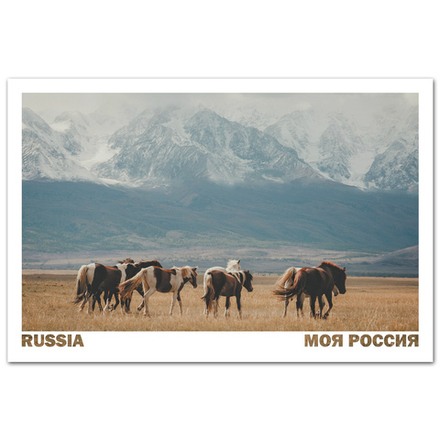 Курайская степь, Алтай