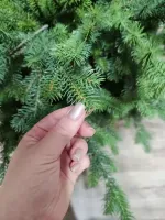 Искусственная узкая елка «Монте» (Литая хвоя) от 1,2 м до 2,1 м