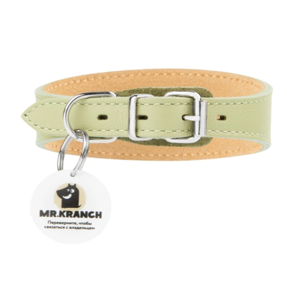 Ошейник-селедка mr.kranch для собак из натуральной кожи с qr-адресником, 21-25см, нежно-зеленый (33007)