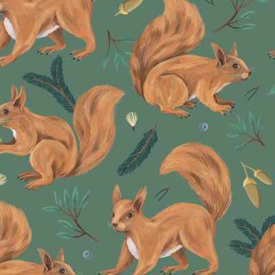 Белки на изумрудном фоне