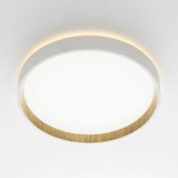 Citilux ETALON CL750240 LED Светильник с подсветкой Белый+Бук