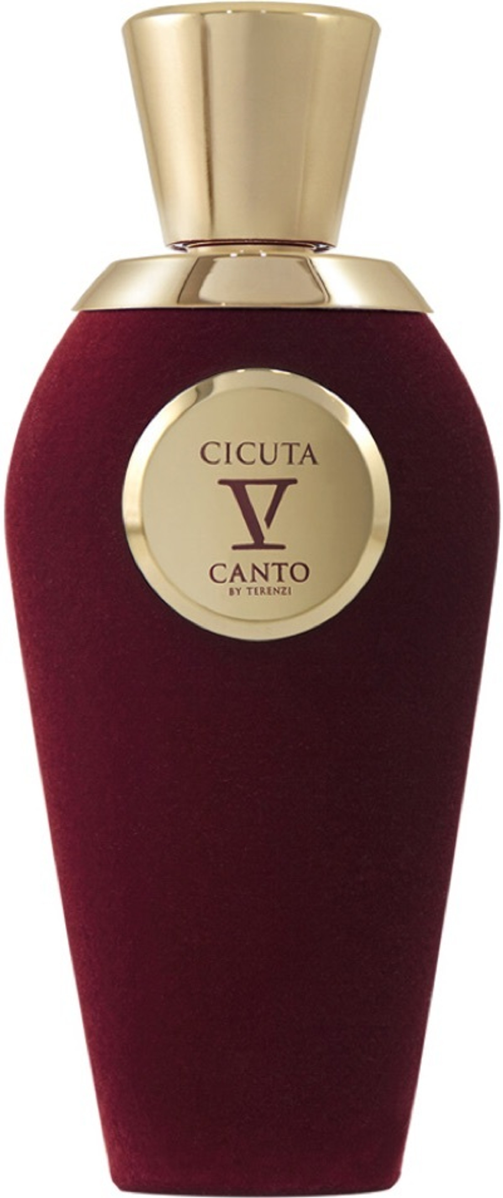 V Canto Cicuta
