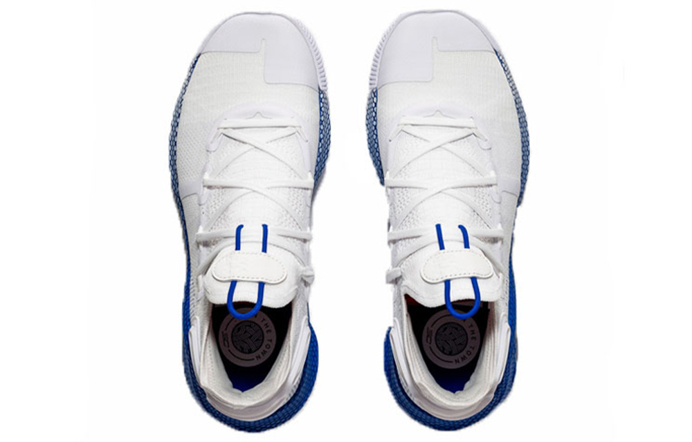 Under Armour Curry 6 "Dub Nation"