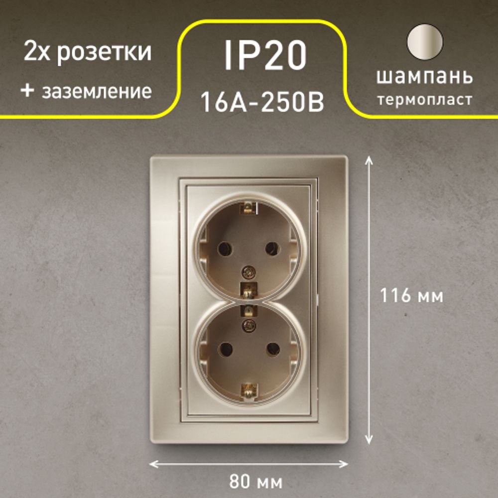 Розетка Intro Plano 1-205-04 с заземлением двойная 2X2P+E Schuko, 16А-250В, IP20, СУ, шампань
