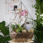 Флорариум с орхидеей и водопадом Будда Фаберже