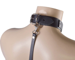 Черный ошейник с металлическими зажимами на соски и поводком (Цвет: черный с серебристым)