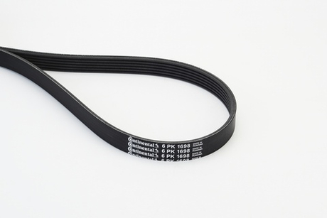 CONTINENTAL CTAM - 6PK1698-COT - V-ribbed Belt