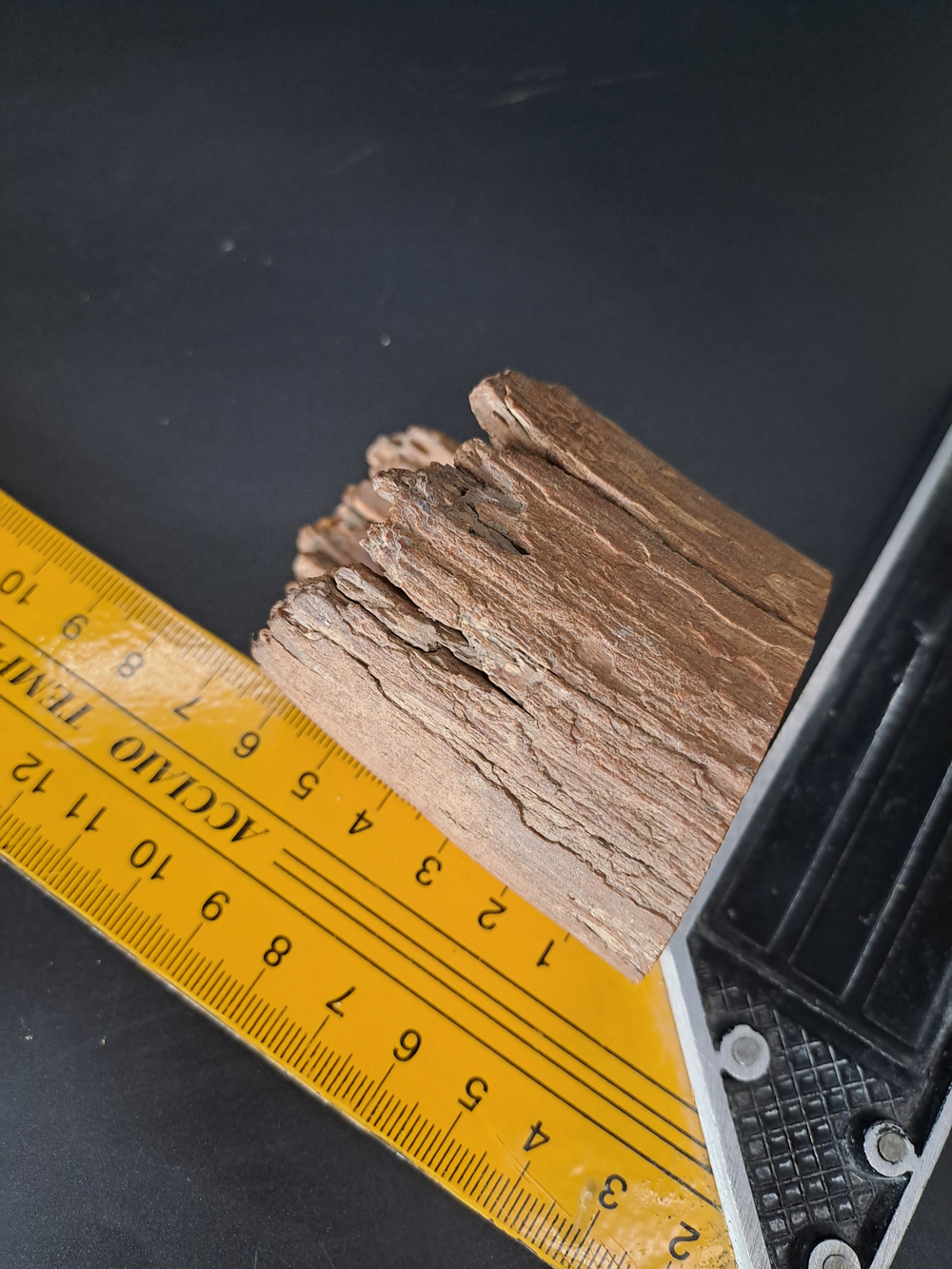 Бивень мамонта для коллекции