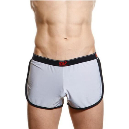 Мужские спортивные шорты светло-серые WangJiang WG00127