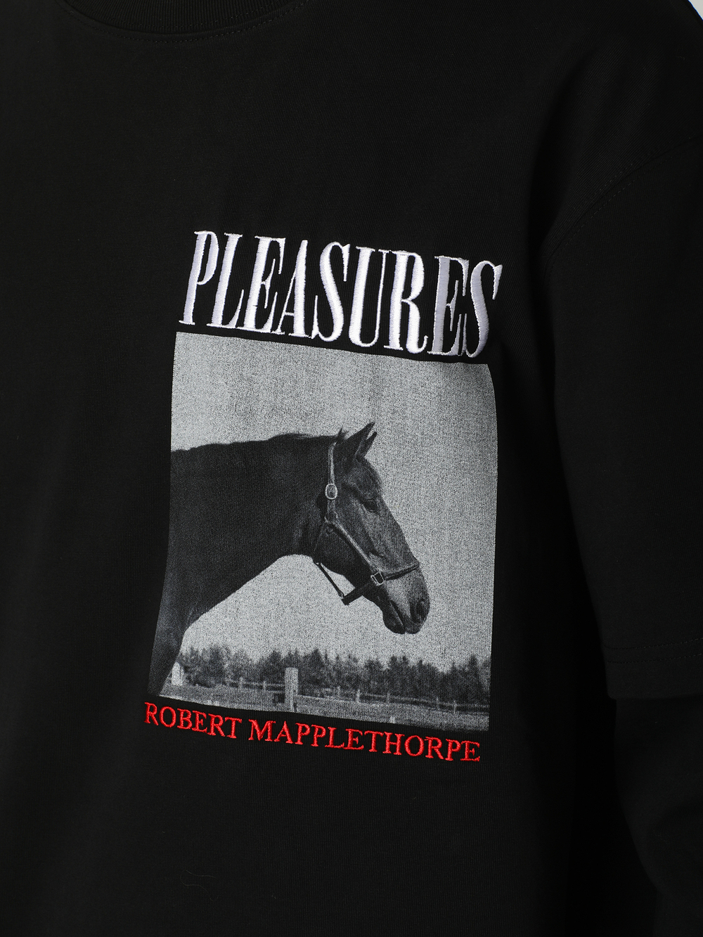 Мужской Лонгслив Horses Layered