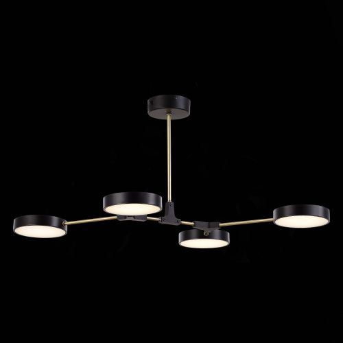 SLE6004-402-04 Светильник потолочный Черный, Латунь/Черный LED 4*10W