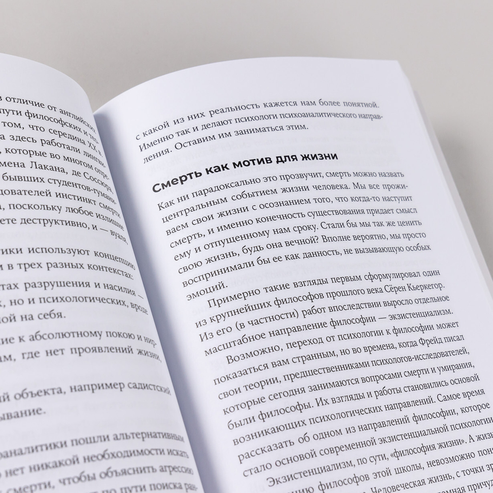 Смерть в большом городе