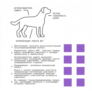 Сухой полнорационный корм AJO Dog Sense с гречкой для собак с чувствительным пищеварением