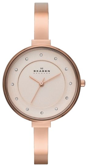Наручные часы Skagen SKW2230