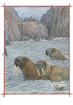 Добрые чувства животных. Т. Д. Жданова