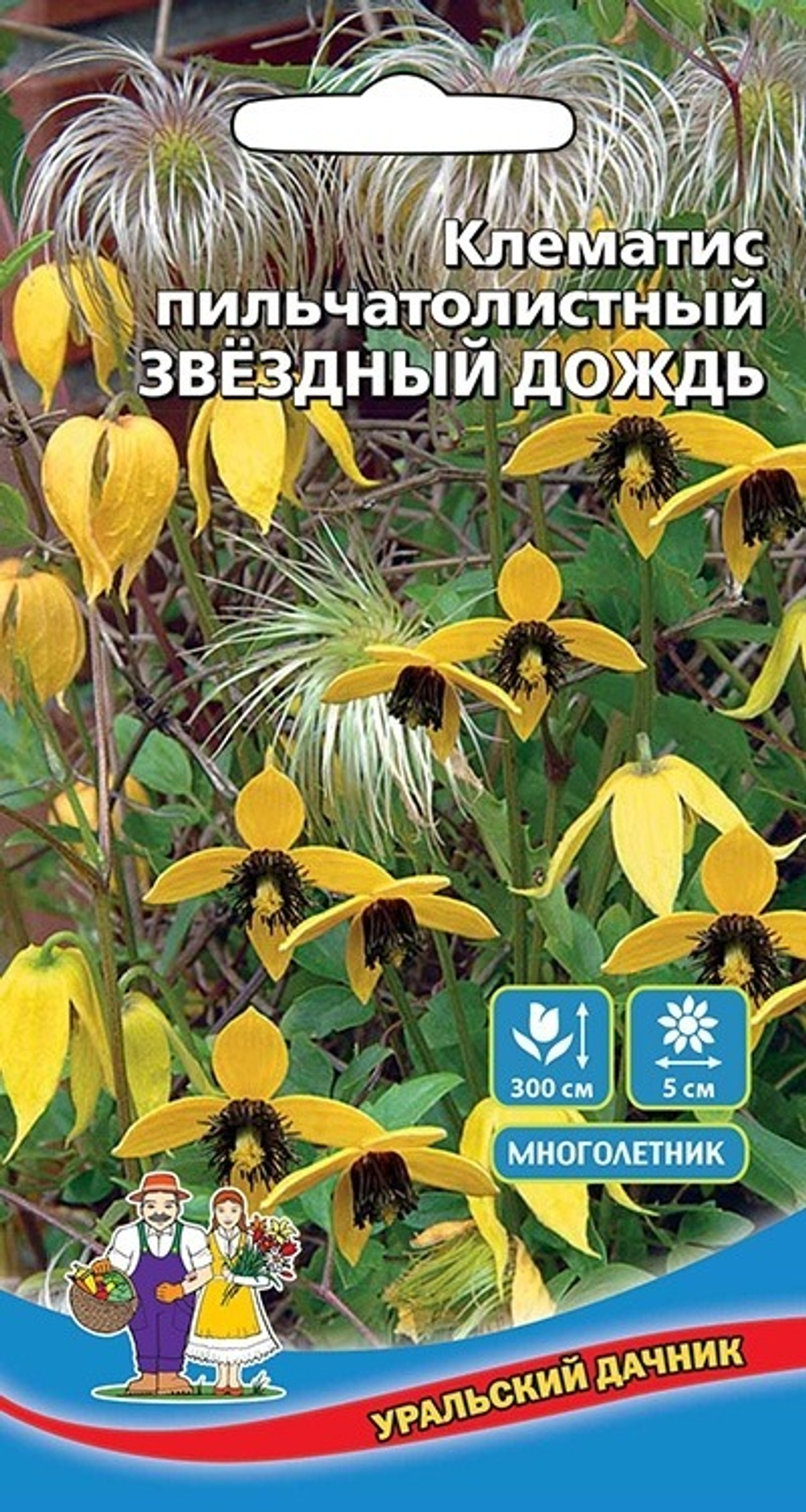 Цв. Клематис Звездный дождь 12 шт (УД )