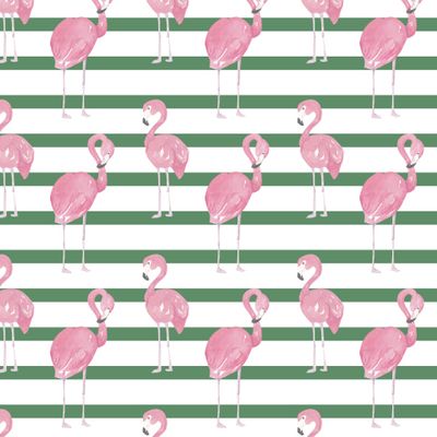 Фламинго и зеленые полоски