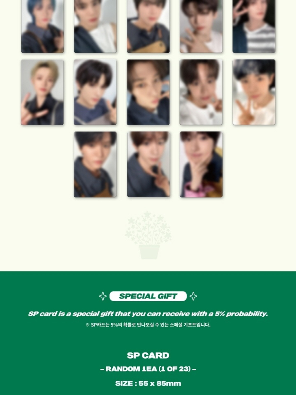 товары NCT - NCT ZONE COUPON CARD GARDENER Version