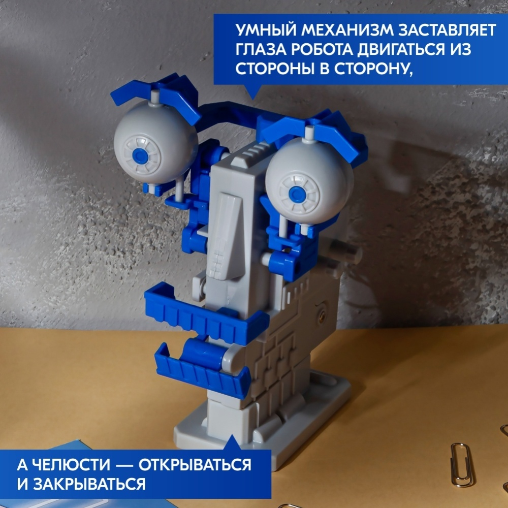 Робототехника «Головобот»