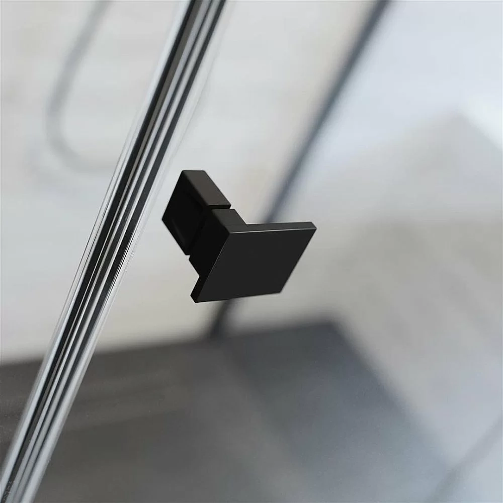 Душевая дверь Radaway Essenza New Black DWJ 100