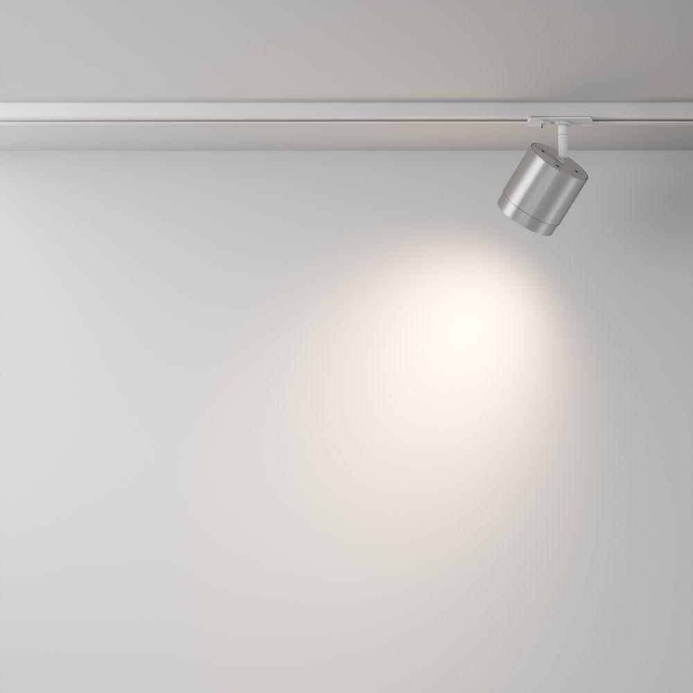 Трековый однофазный светильник Maytoni Unity   TR088-1-GX53-S