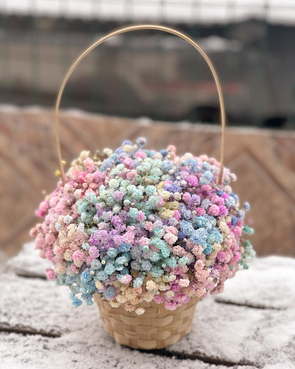 Гипсофила цветная