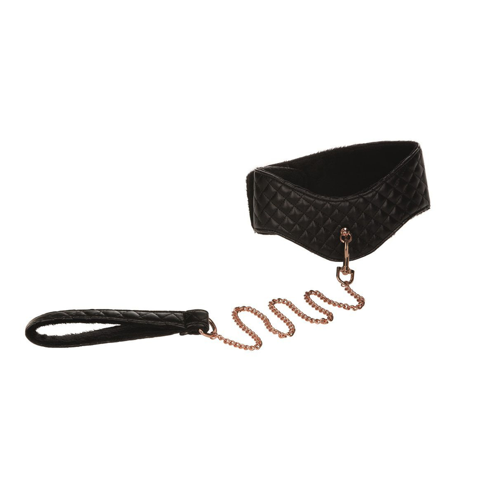 Ошейник с поводком Entice Posture Collar with Leash (Цвет: черный)