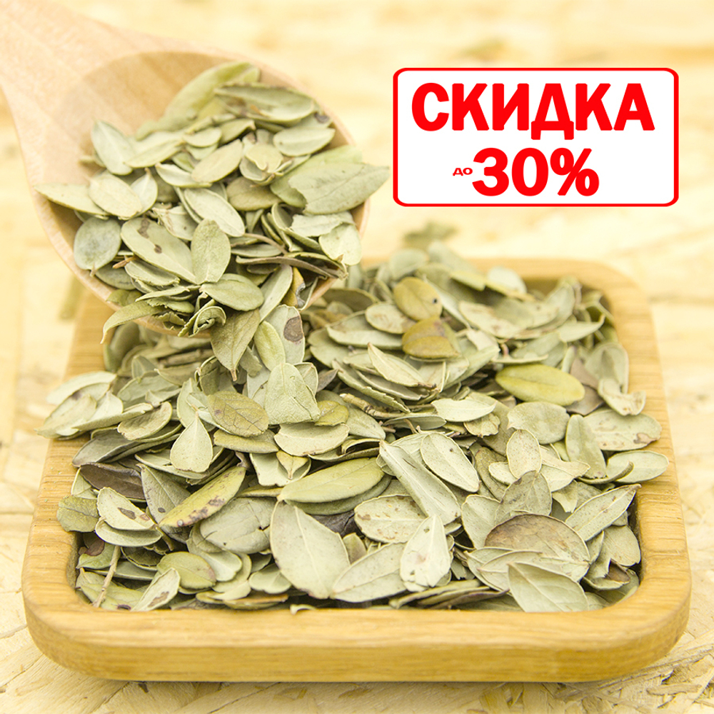 Брусника (лист)